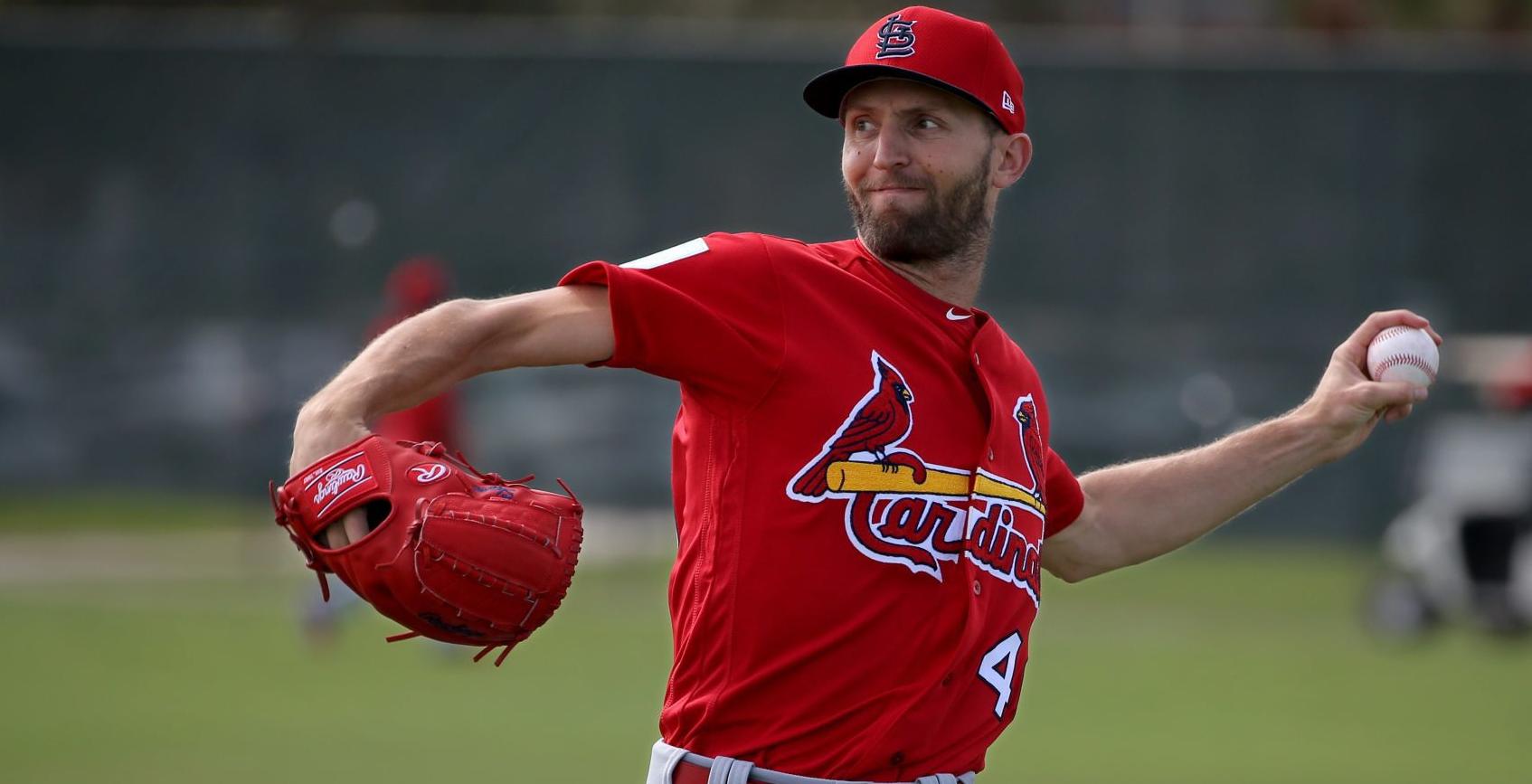 Cardinals spring training continues
